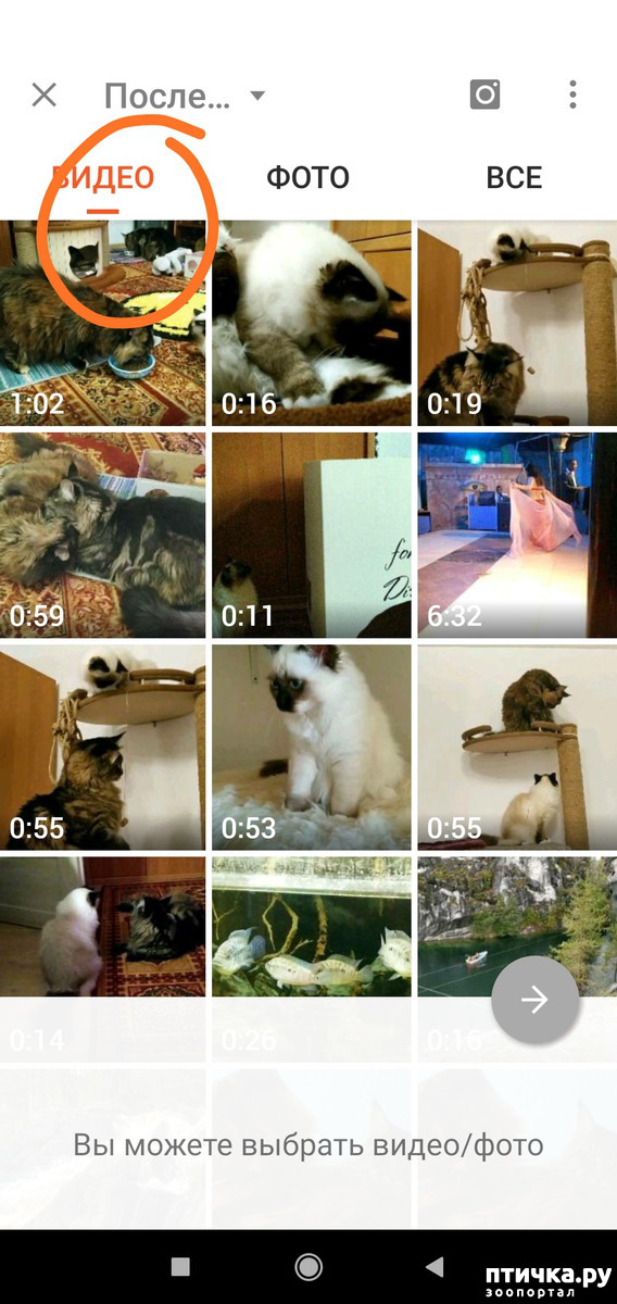 ���� 6: ��� ����