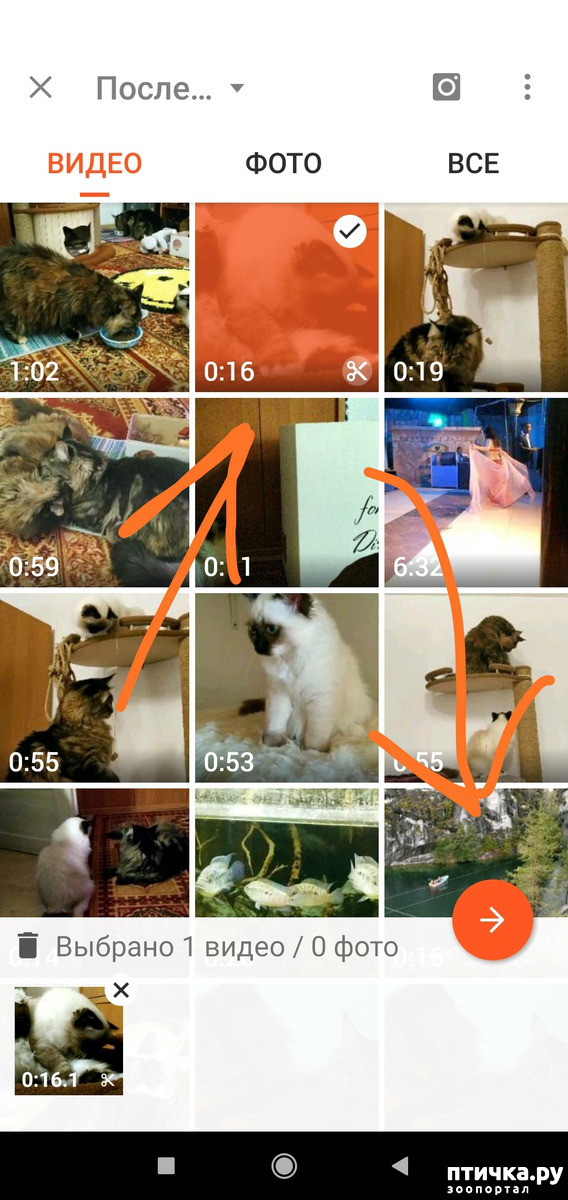 ���� 7: ��� ����