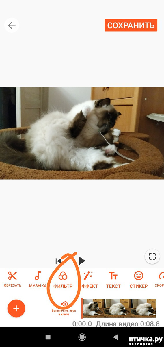 ���� 11: ��� ����