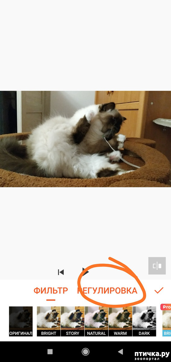 ���� 12: ��� ����