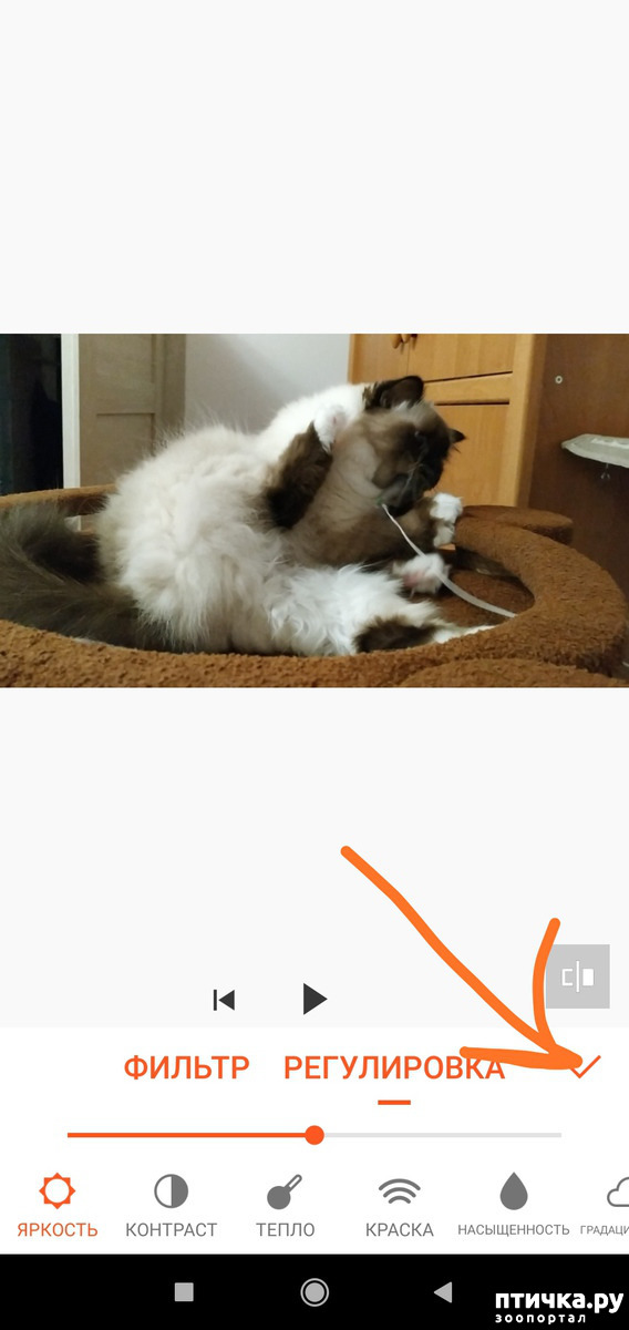 ���� 13: ��� ����