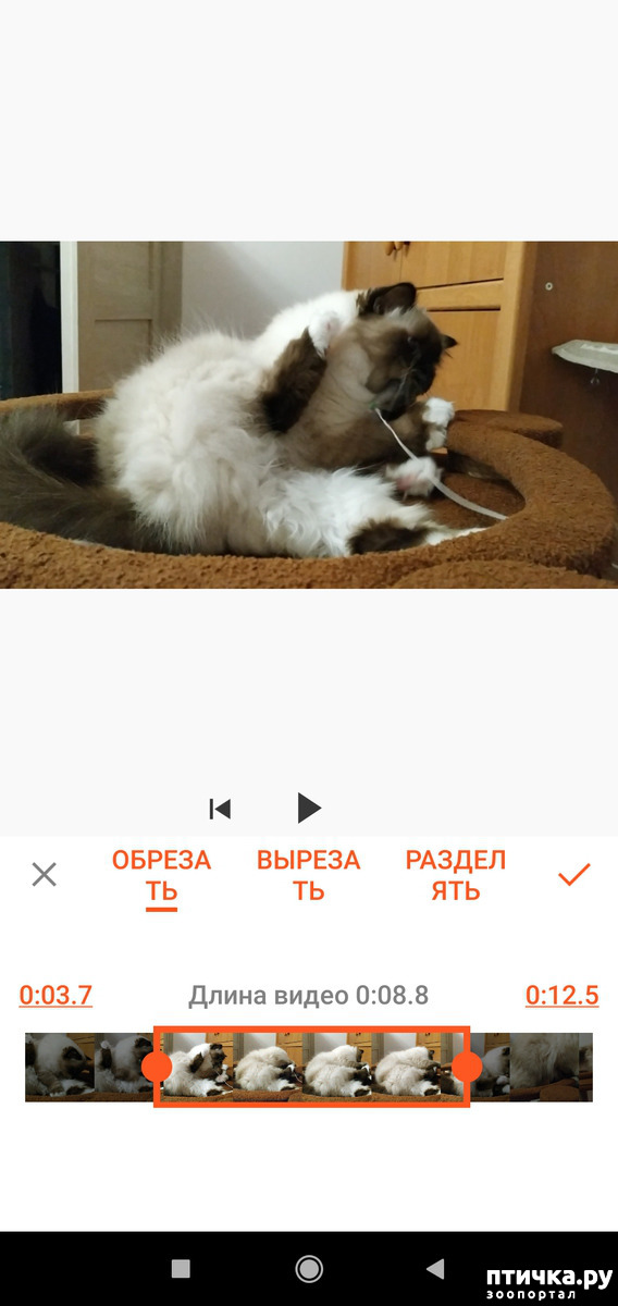 ���� 10: ��� ����