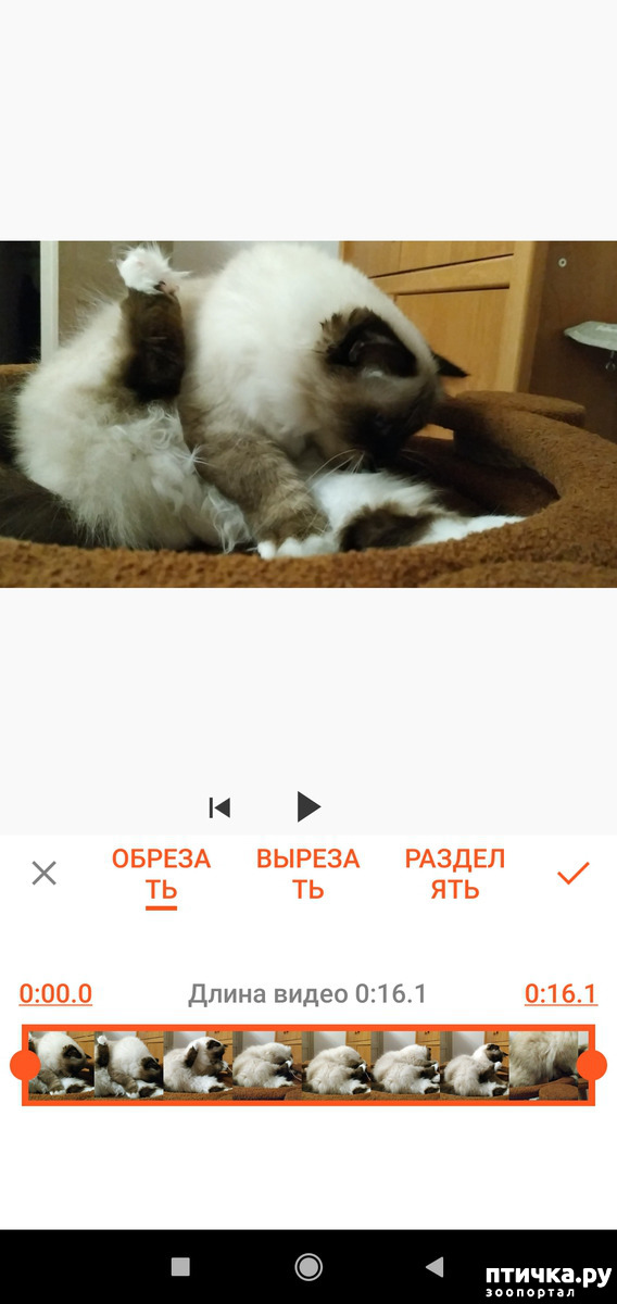 ���� 9: ��� ����