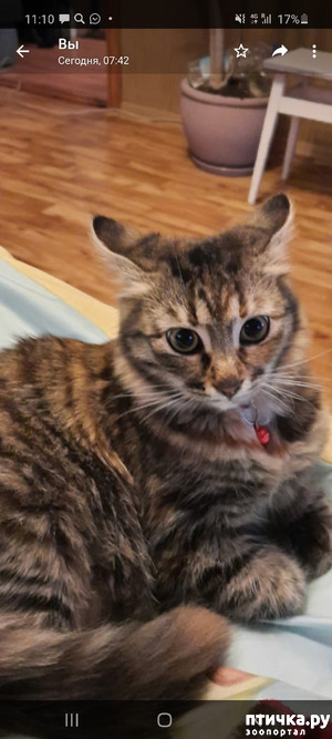 ����: ������ �� ������!