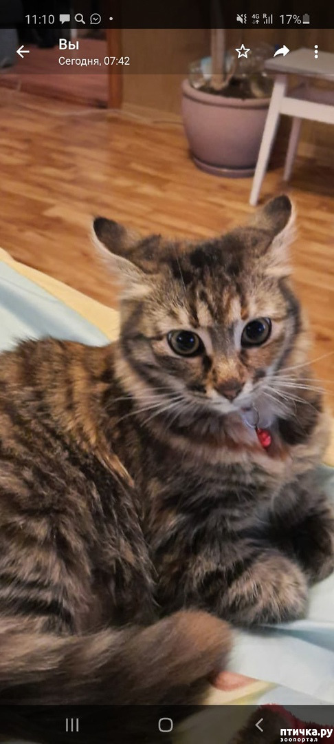 ���� 1: ������ �� ������!