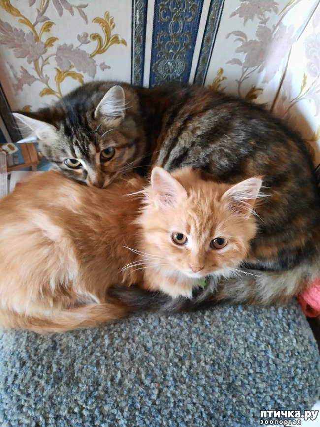 ���� 3: ������ �� ������!