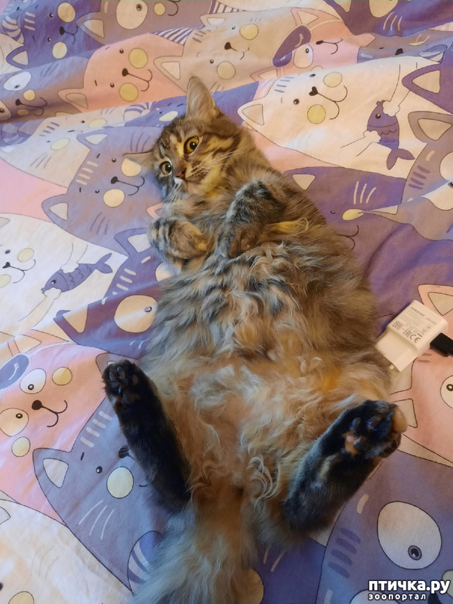 ���� 2: ������ �� ������!