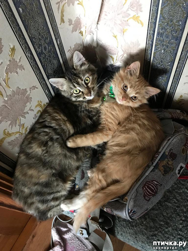 ���� 4: ������ �� ������!