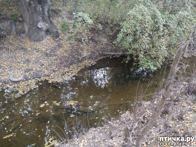 фото 2: Всей семьёй на осенний выходной!