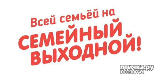 фото 1: Всей семьёй на осенний выходной!