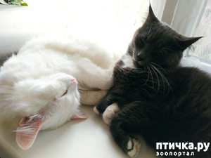 ����: ������� �����. ���� 1