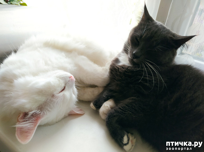 ���� 1: ������� �����. ���� 1