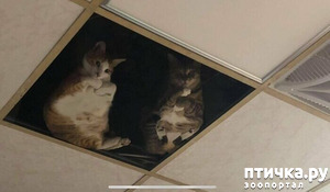 ����: � �� ����������� ����� � ����� �������