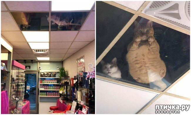 ���� 2: � �� ����������� ����� � ����� �������