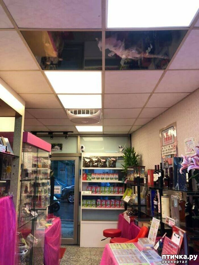 ���� 3: � �� ����������� ����� � ����� �������