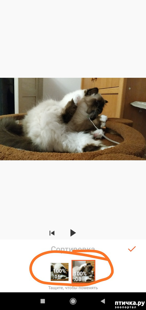 ���� 3: ��� ���� 2. ����.