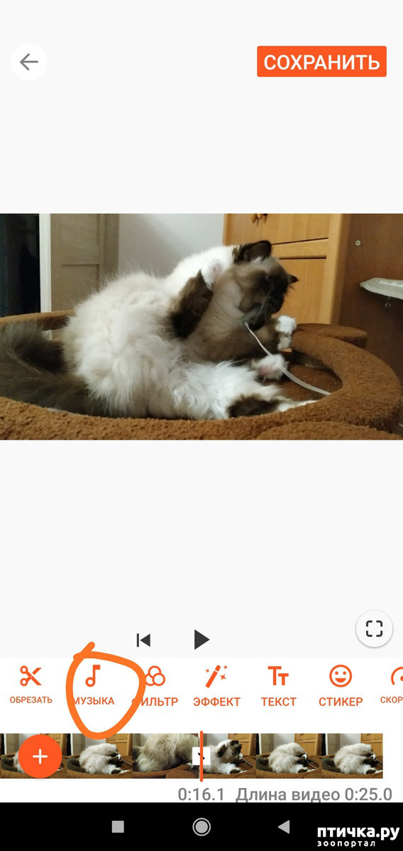 ���� 4: ��� ���� 2. ����.