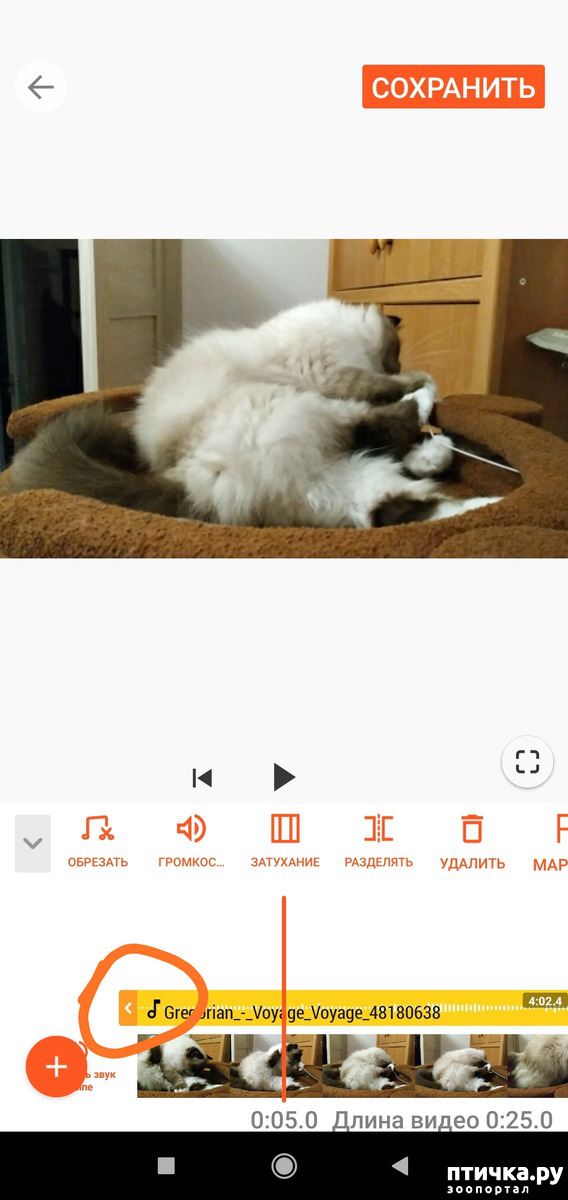 ���� 6: ��� ���� 2. ����.