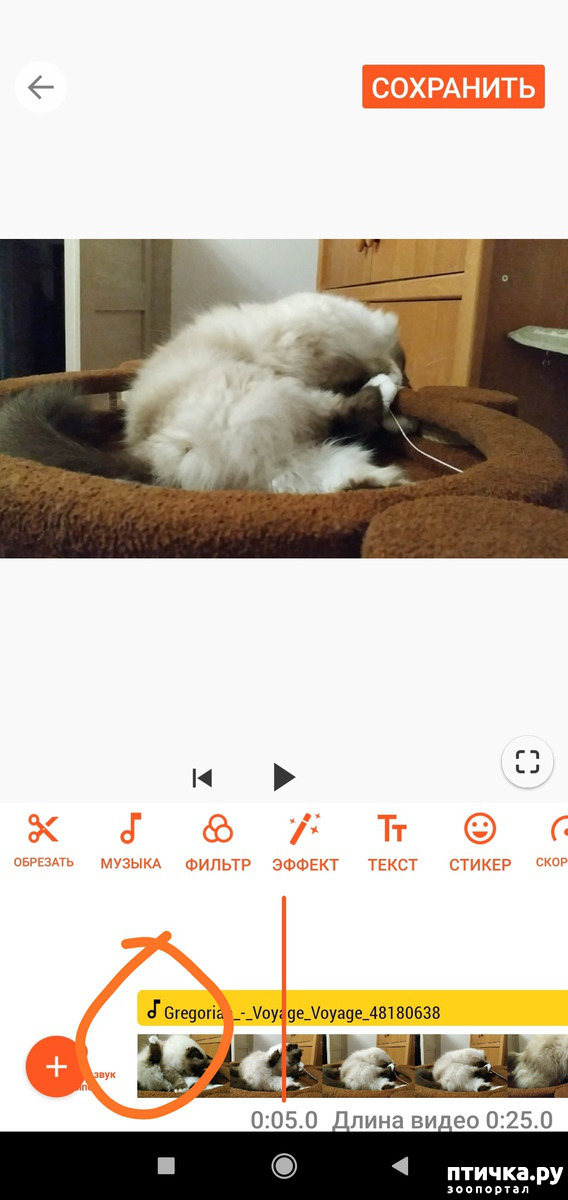 ���� 7: ��� ���� 2. ����.