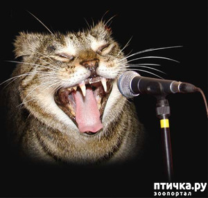 ����: ��� ���� 2. ����.