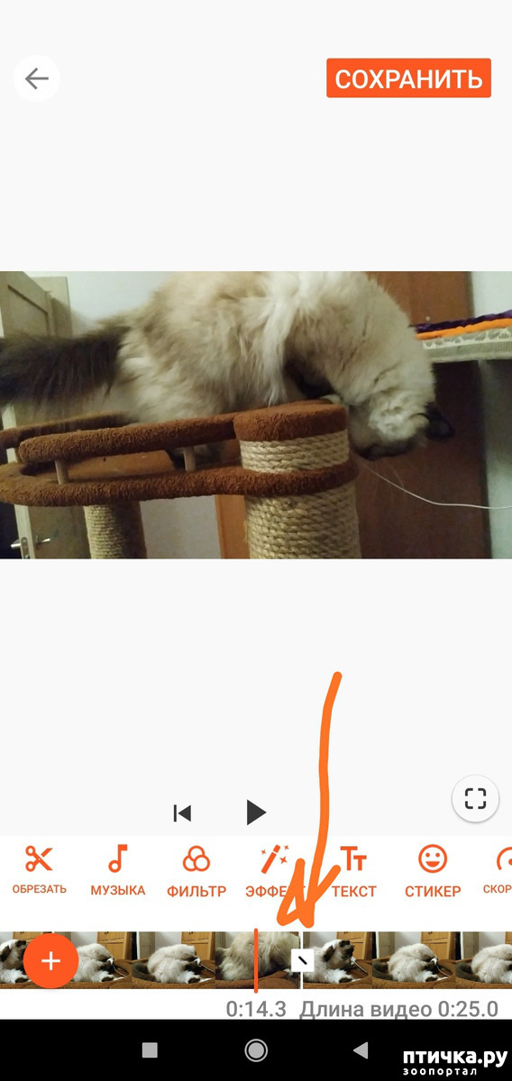 ���� 2: ��� ���� 2. ����.