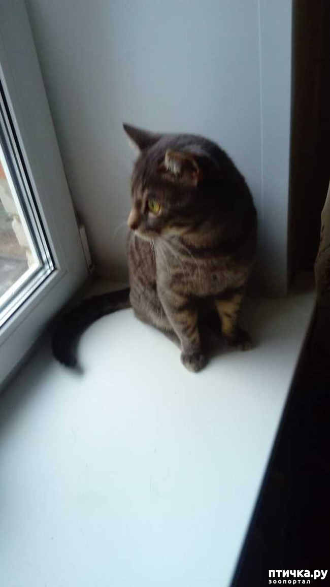 ���� 1: �� ����� �������