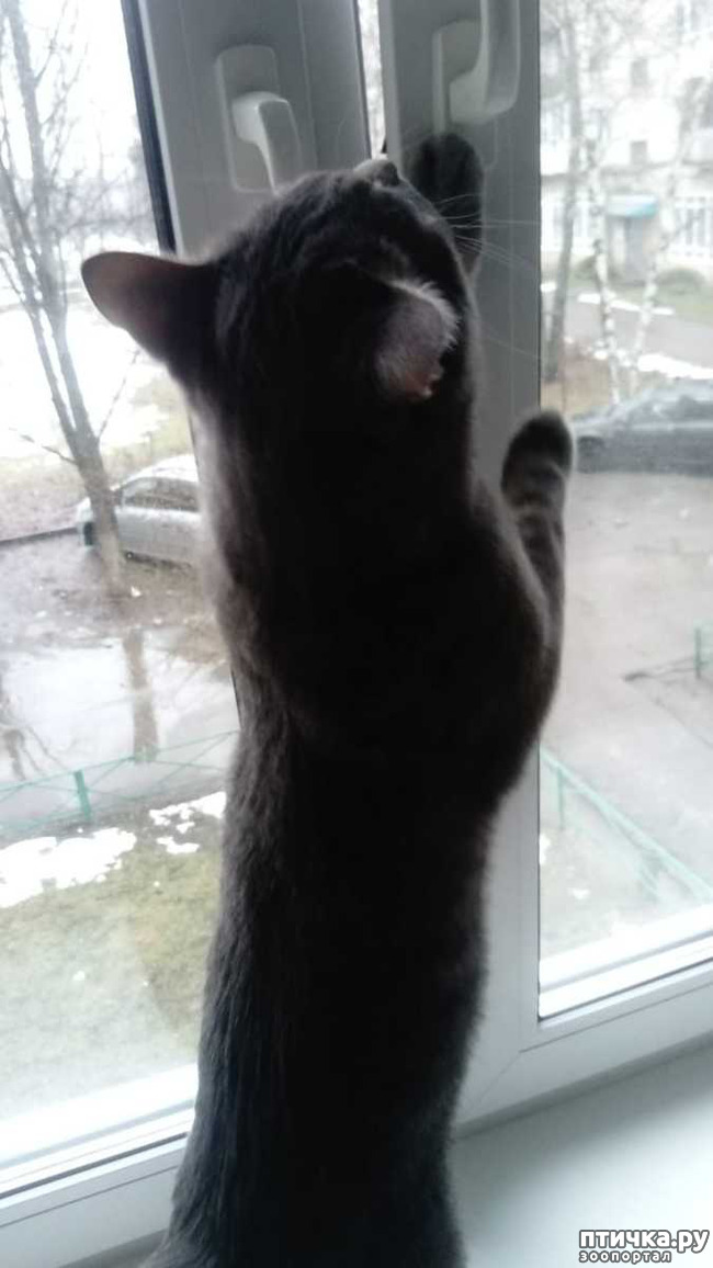 ���� 2: �� ����� �������