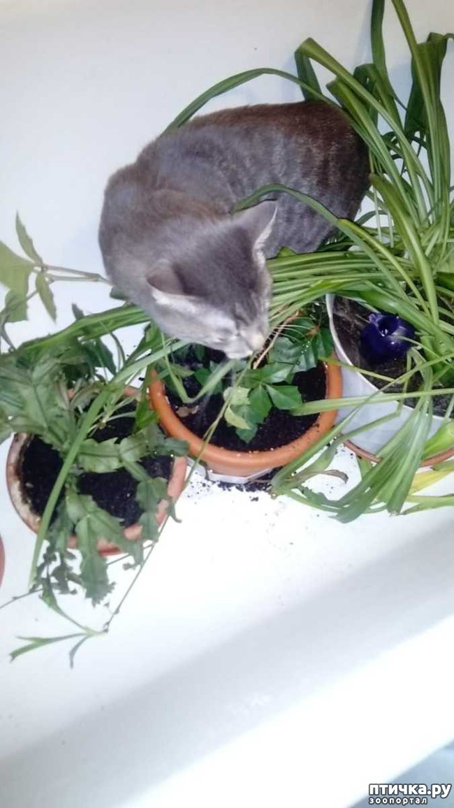 ���� 3: �� ����� �������