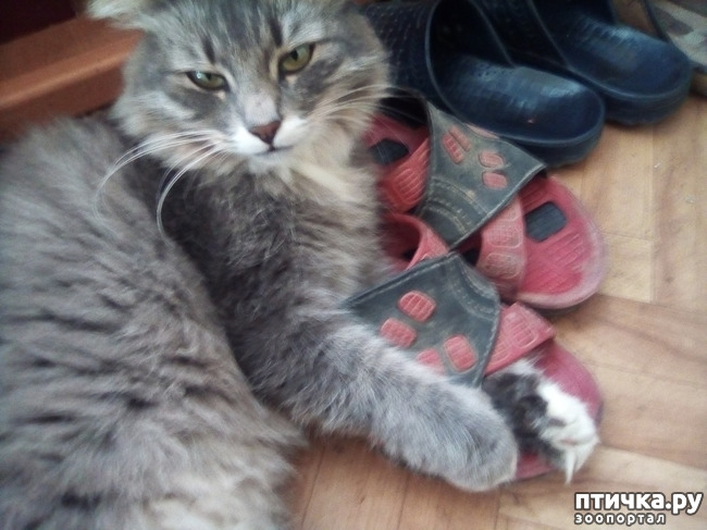 ���� 1: ����� ����� ����� �������