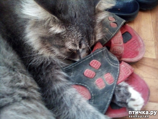 ���� 2: ����� ����� ����� �������