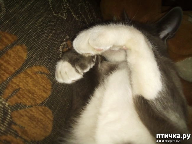 ���� 12: ����� ����� ����� �������