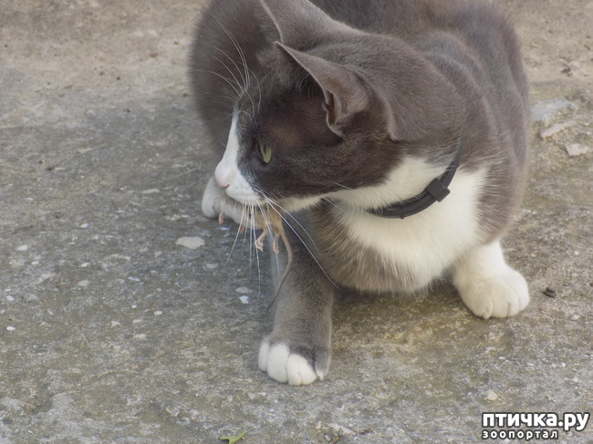 ���� 13: ����� ����� ����� �������