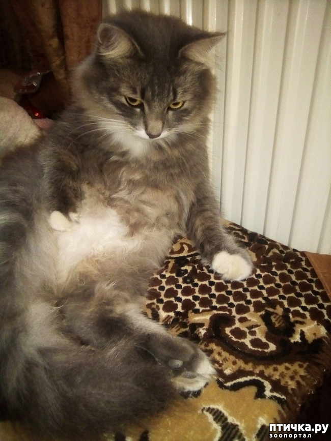 ���� 3: ����� ����� ����� �������