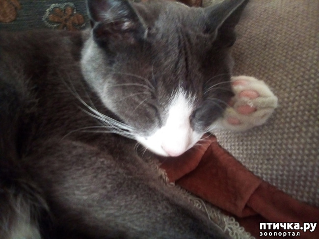 ���� 14: ����� ����� ����� �������