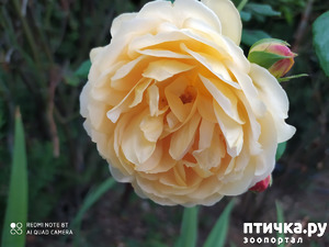 ����: ������� ����� �����