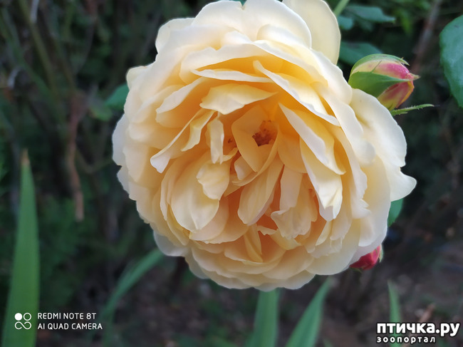 ���� 1: ������� ����� �����