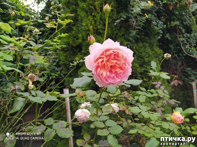 ���� 2: ������� ����� �����