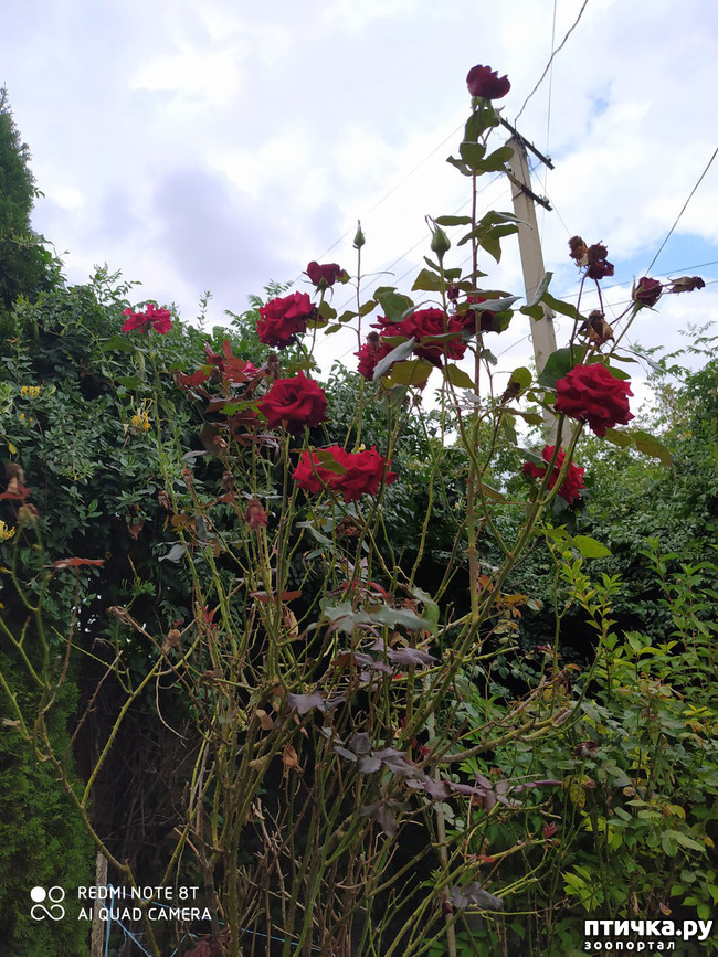 ���� 3: ������� ����� �����