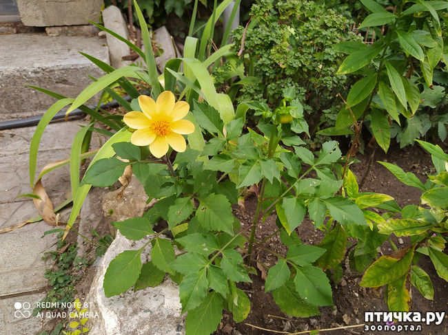 ���� 16: ������� ����� �����