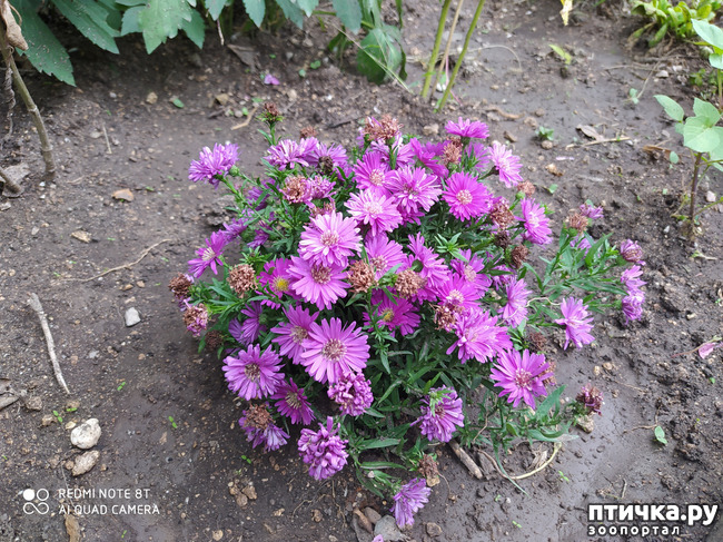 ���� 15: ������� ����� �����