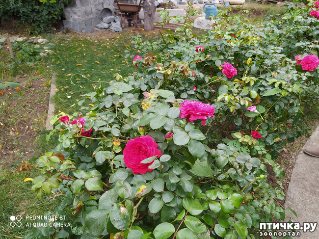 ���� 4: ������� ����� �����