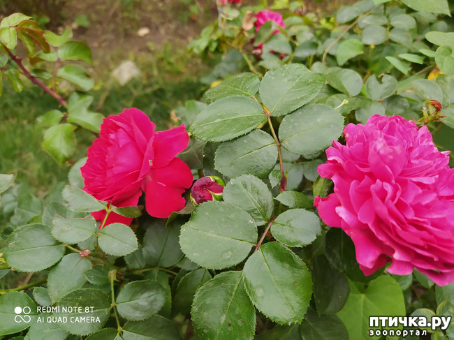 ���� 5: ������� ����� �����