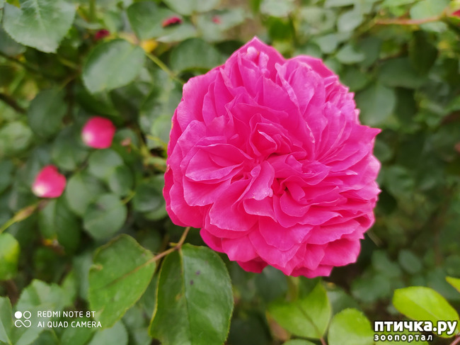 ���� 14: ������� ����� �����