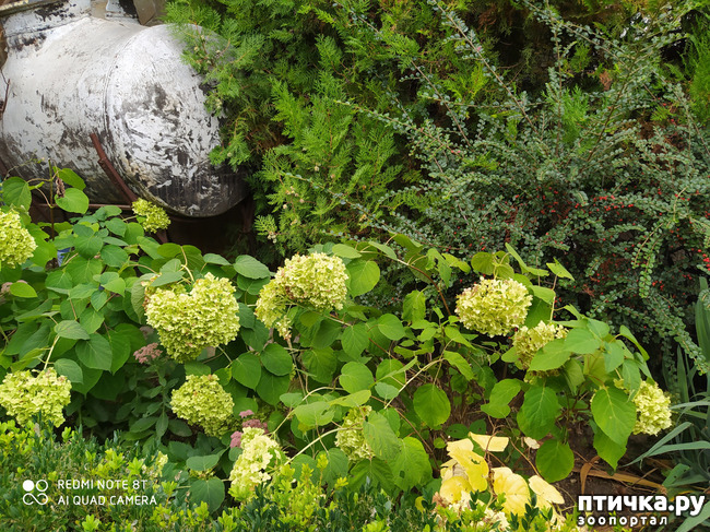 ���� 13: ������� ����� �����