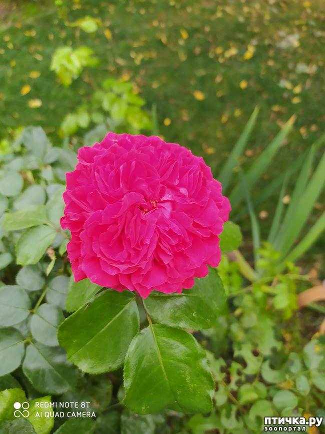 ���� 7: ������� ����� �����