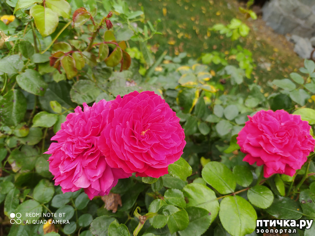 ���� 6: ������� ����� �����