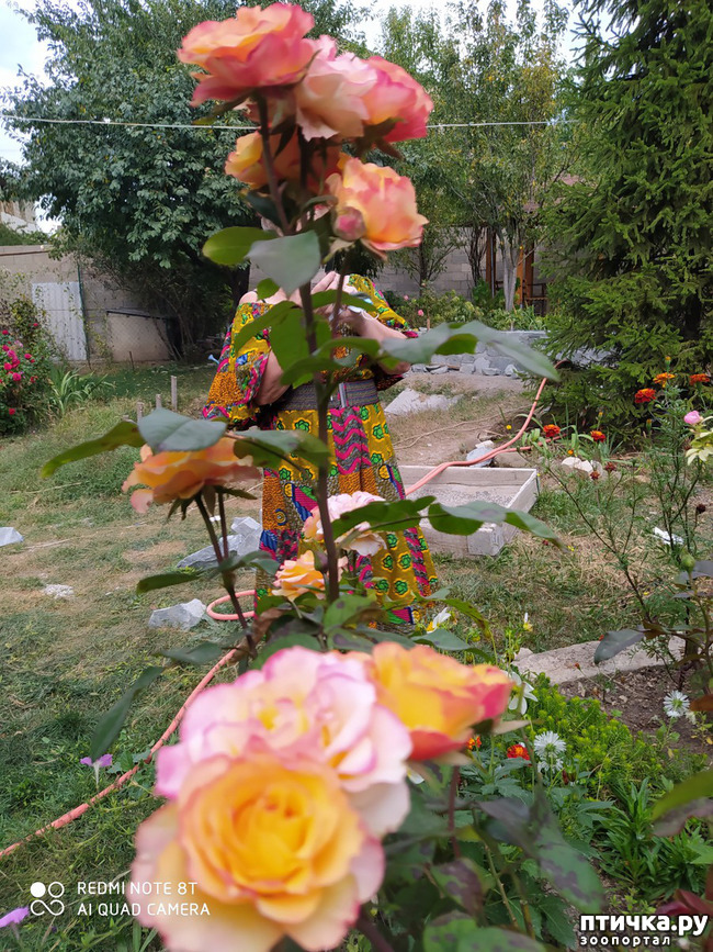 ���� 10: ������� ����� �����