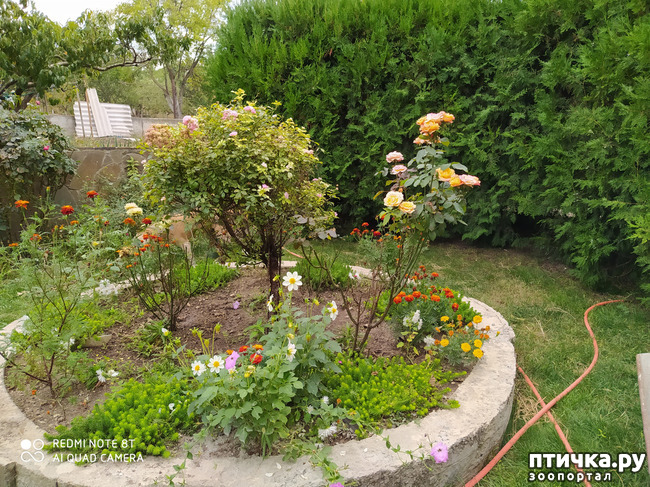 ���� 8: ������� ����� �����