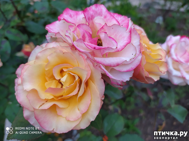 ���� 11: ������� ����� �����