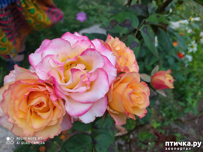 ���� 12: ������� ����� �����